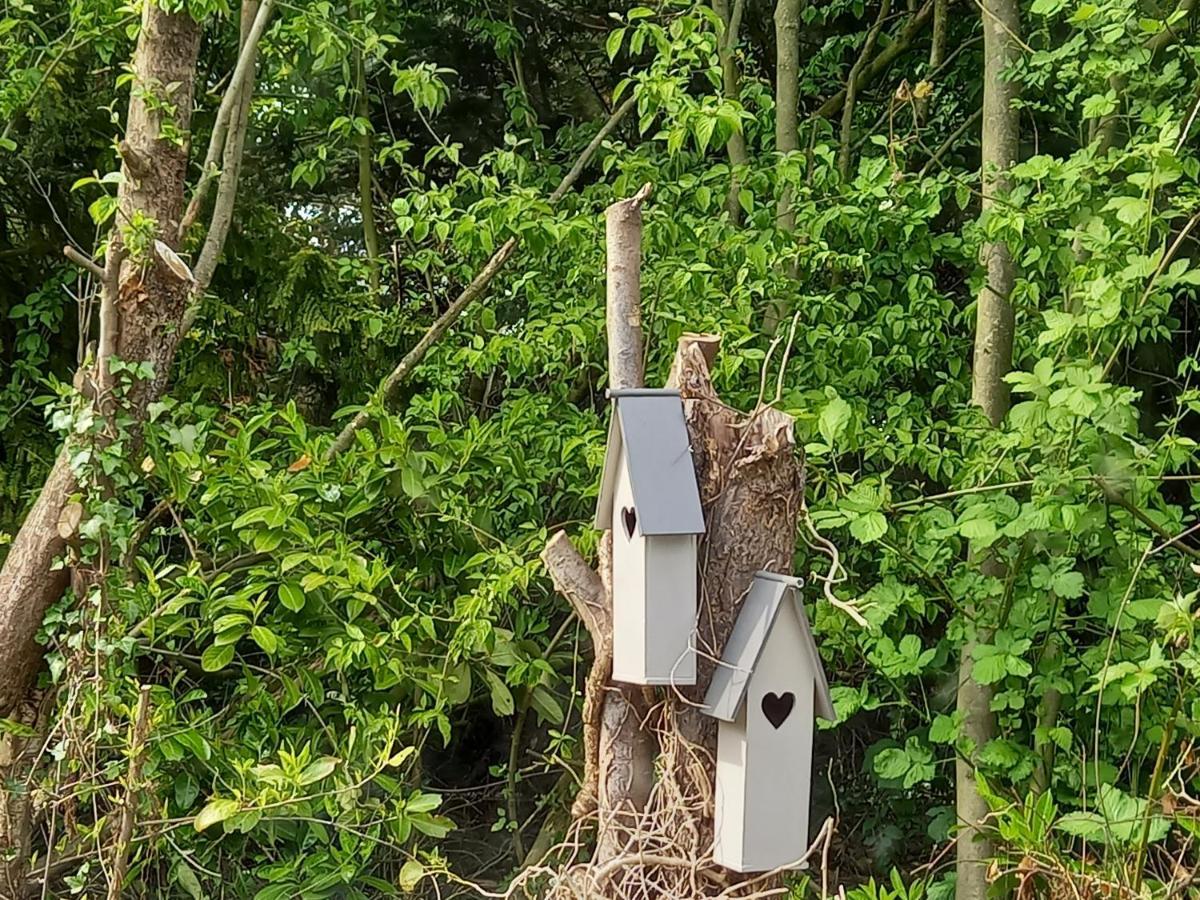 Natuurhuisje Eartswoud Aartswoud Bagian luar foto