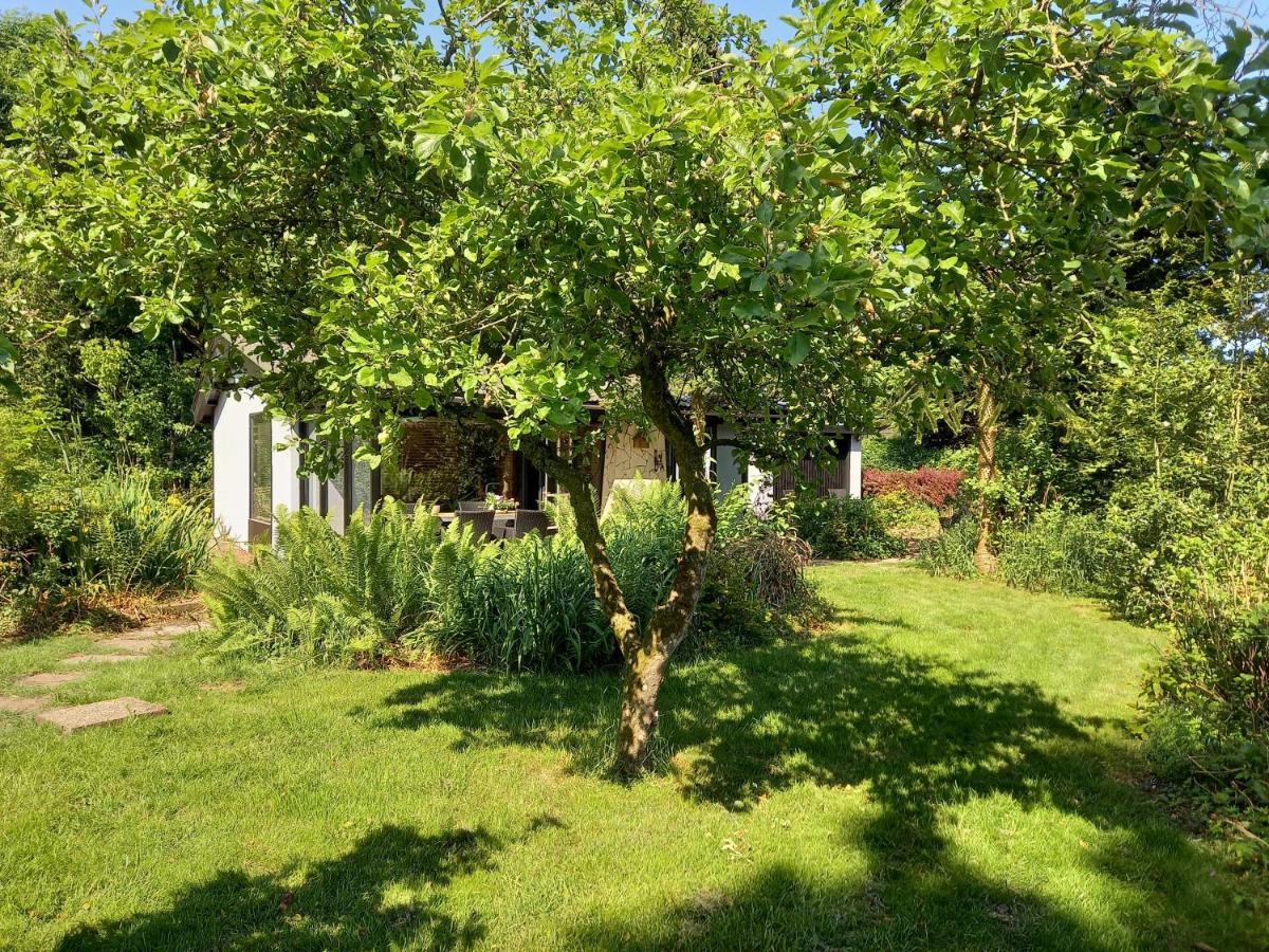 Natuurhuisje Eartswoud Aartswoud Bagian luar foto