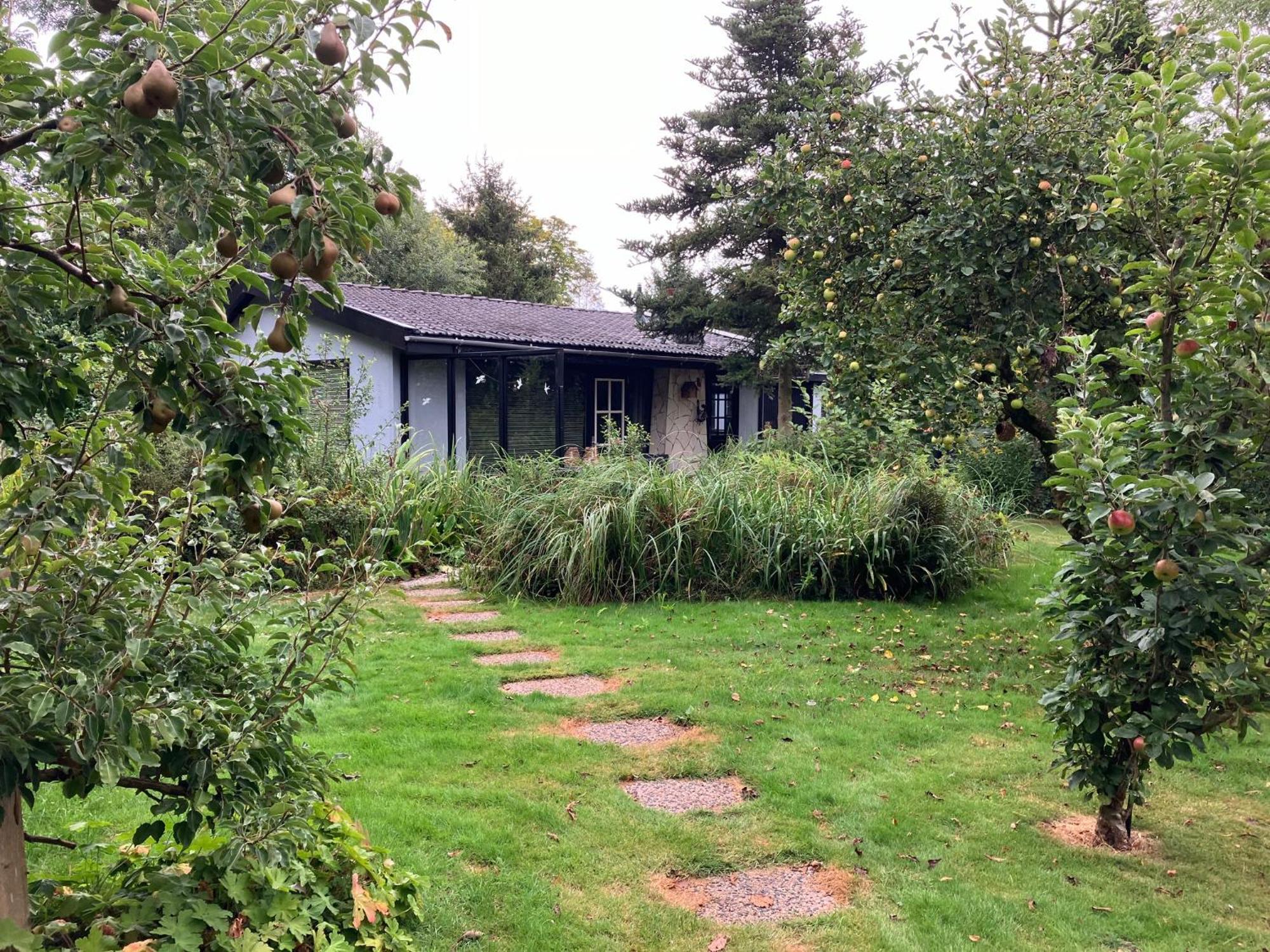 Natuurhuisje Eartswoud Aartswoud Bagian luar foto