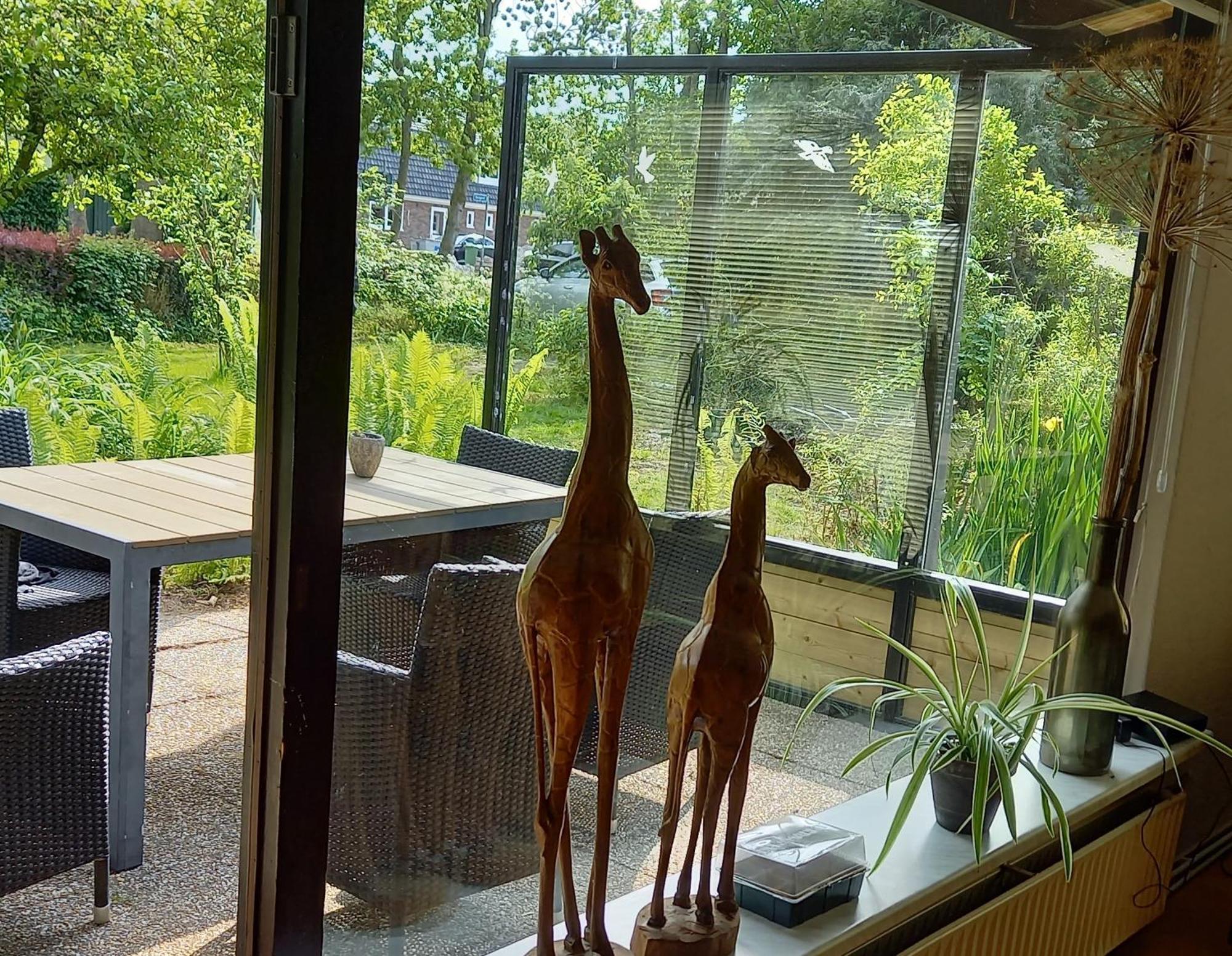 Natuurhuisje Eartswoud Aartswoud Bagian luar foto
